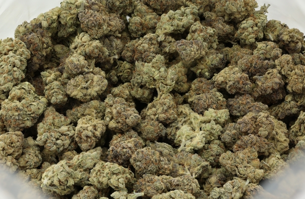 Purchase MJ Flower